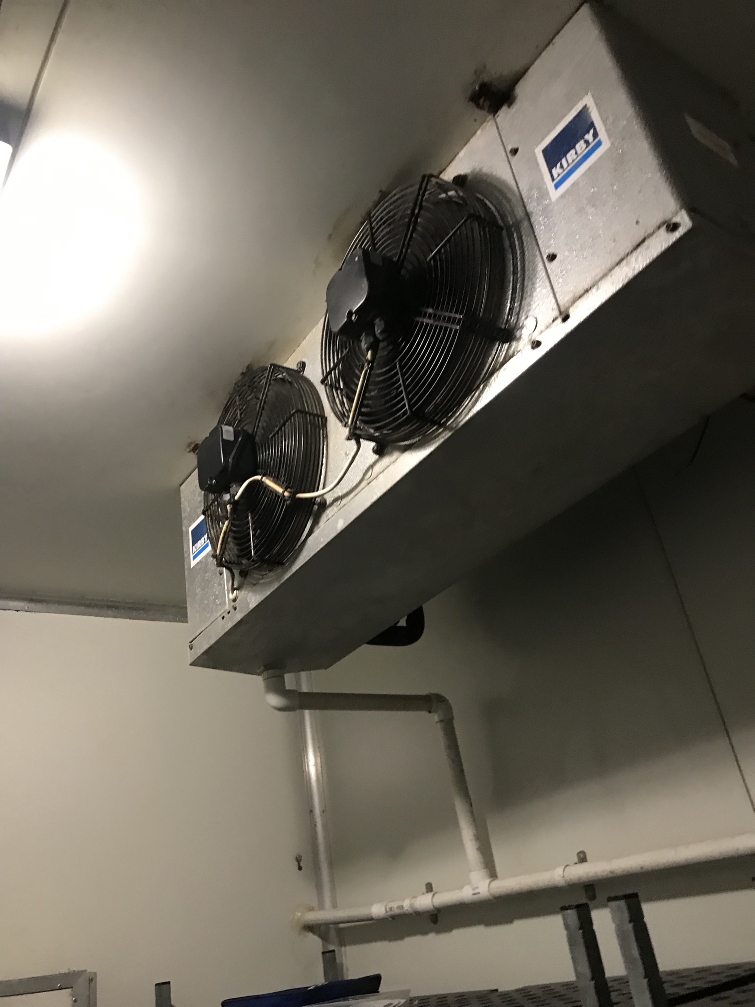 Cold room maintenance Paget QLD